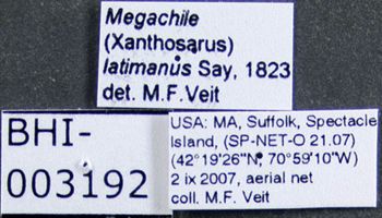 Media type: image;   Entomology 610875 Aspect: labels